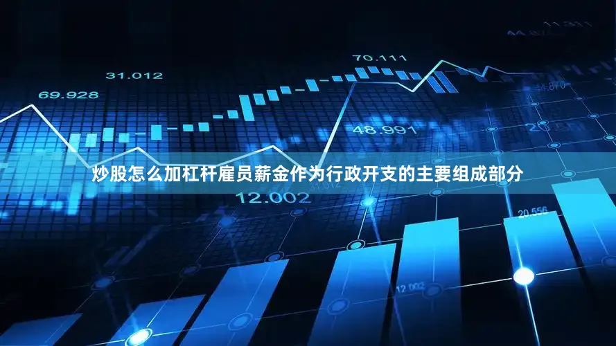 炒股怎么加杠杆雇员薪金作为行政开支的主要组成部分