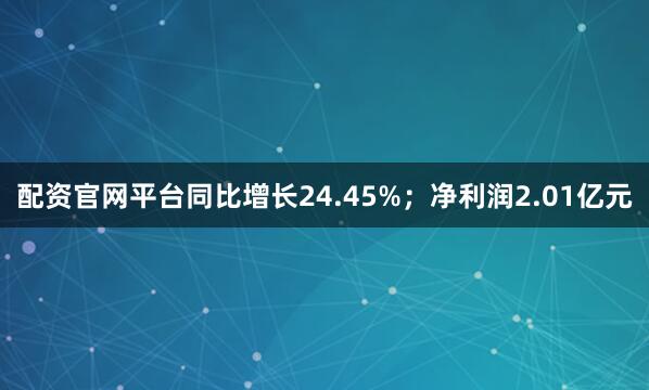 配资官网平台同比增长24.45%；净利润2.01亿元