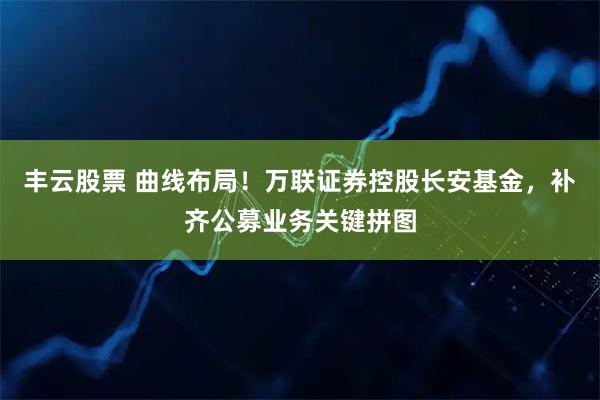 丰云股票 曲线布局！万联证券控股长安基金，补齐公募业务关键拼图